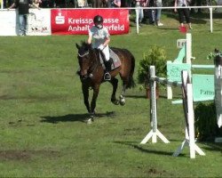 jumper La Douce (Oldenburg, 2001, from Lord Nobel S)