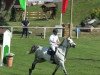 jumper Lansdown (Oldenburg show jumper, 2002, from Landor S)