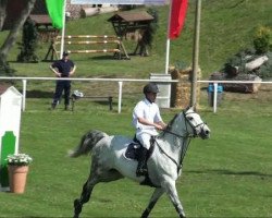 jumper Lansdown (Oldenburg show jumper, 2002, from Landor S)