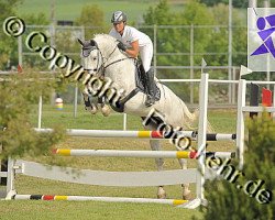 jumper Camillo 138 (Hanoverian, 2003, from Cento)