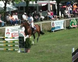 jumper Cap Corano (German Warmblood, 1998, from Cap-Calando)