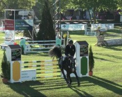 dressage horse Akino S (Holsteiner, 2004, from Almani)