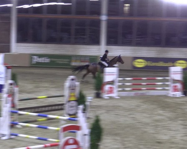 Reitturnier Oelde 2022