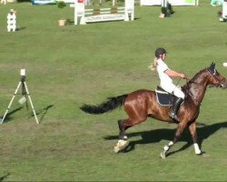 dressage horse Frisbee 50 (Westphalian, 2003, from Floresco NRW)