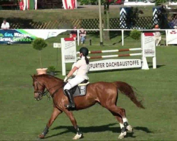 jumper Lucky 1454 (German Sport Horse, 2005, from Loredano 2)