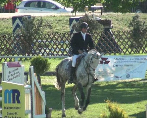 broodmare Little Lady 225 (German Sport Horse, 2004, from Littlefield)