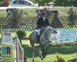 broodmare Little Lady 225 (German Sport Horse, 2004, from Littlefield)