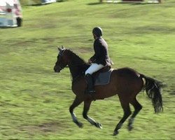 jumper Balou du Barbour (Oldenburg, 2004, from Balou du Rouet)