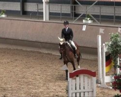 jumper Cebulons l'Amour (German Riding Pony, 2005, from Cebulon)