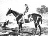 broodmare Blink Bonny xx GN070 (Thoroughbred, 1854, from Melbourne xx)