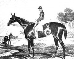 broodmare Blink Bonny xx GN070 (Thoroughbred, 1854, from Melbourne xx)