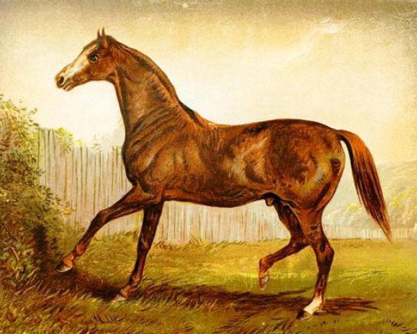 stallion Blair Athol xx (Thoroughbred, 1861, from Stockwell xx)