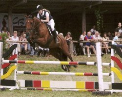 Springpferd Glendalou (Sachsen-Anhaltiner, 1995, von Grundstein II)