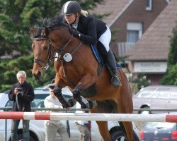 jumper Agina 4 (KWPN (Royal Dutch Sporthorse), 2005, from Placido)