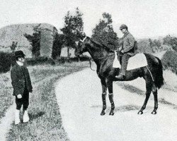 stallion Martagon xx (Thoroughbred, 1887, from Bend Or xx)