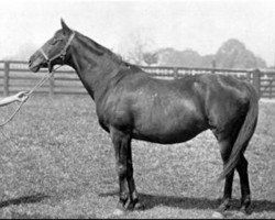 broodmare Lily Agnes xx (Thoroughbred, 1871, from Macaroni xx)