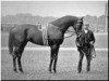 stallion St. Serf xx (Thoroughbred, 1887, from Saint Simon xx)