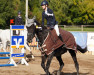 Springpferd Sawant (Polnisches Warmblut, 2011, von Bibigar)