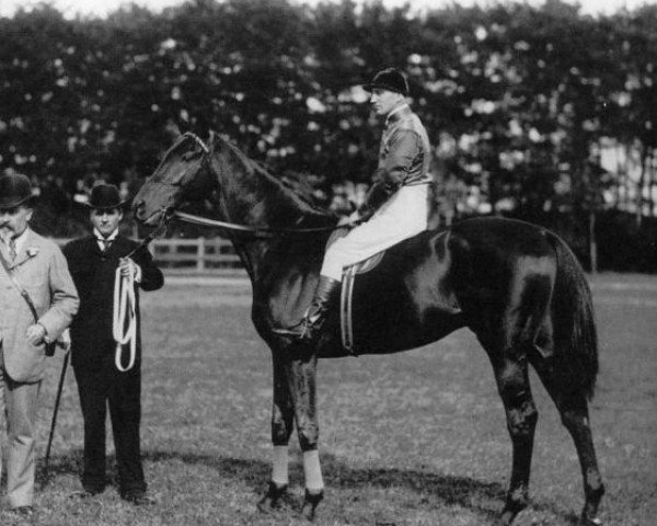horse Persimmon xx (Thoroughbred, 1893, from Saint Simon xx)