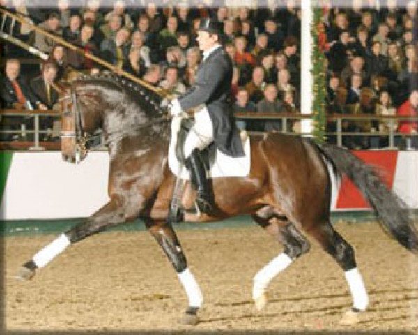 stallion Florianus (Westphalian, 1998, from Florestan I)