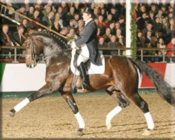 stallion Florianus (Westphalian, 1998, from Florestan I)