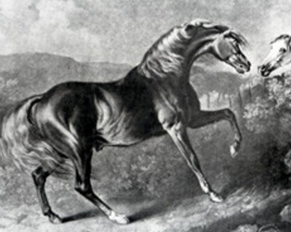 stallion Jupiter xx (Thoroughbred, 1774, from Eclipse xx)