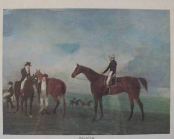 stallion Phantom xx (Thoroughbred, 1808, from Walton xx)
