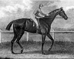 broodmare Hyale xx (Thoroughbred, 1797, from Phoenomenon xx)