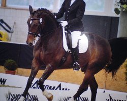 dressage horse Fulton 3 (Westphalian, 2000, from Florestan I)