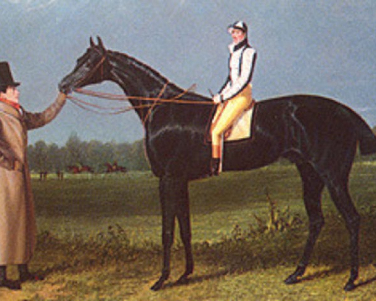 stallion Jerry xx (Thoroughbred, 1821, from Smolensko xx)