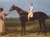 stallion Jerry xx (Thoroughbred, 1821, from Smolensko xx)