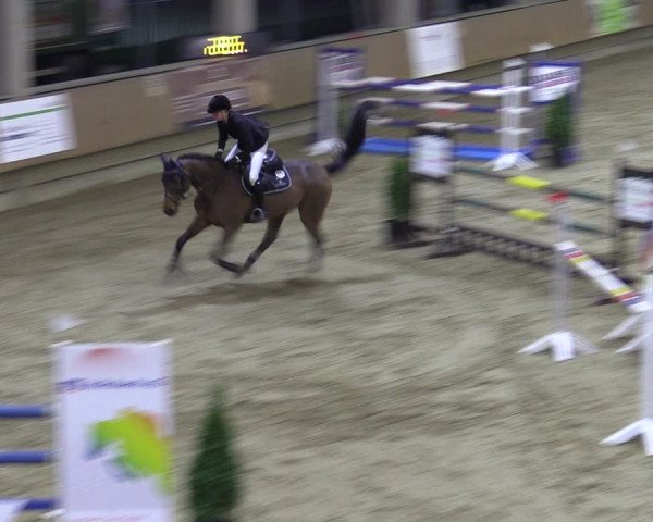Reitturnier Oelde 2022