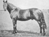 stallion Musket xx (Thoroughbred, 1867, from Toxophilite xx)