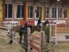 jumper Wait and See 18 (Hanoverian, 2003, from Weissenburg)