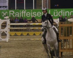 jumper Uniek 10 (KWPN (Royal Dutch Sporthorse), 2001, from Indoctro)