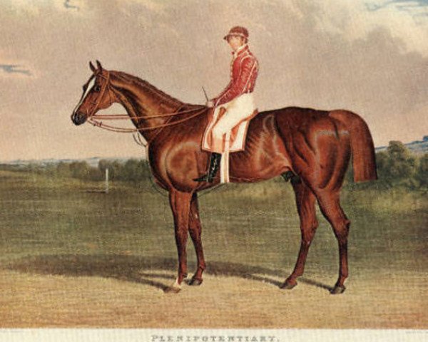 stallion Plenipotentiary xx (Thoroughbred, 1831, from Emilius xx)