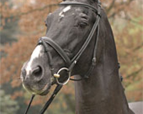 stallion Torero (Oldenburg, 1982, from Tin Rocco)