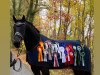 dressage horse Donna Rosa de La Coeur (Oldenburg, 2017, from Delatio)