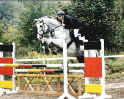 jumper Tamar 7 (KWPN (Royal Dutch Sporthorse), 2000, from Climax)