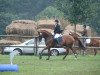 dressage horse Laredo (Westphalian, 1995, from Lapaz L)