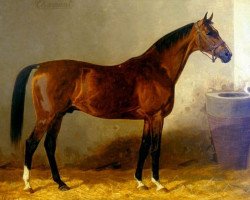 stallion Chamant xx (Thoroughbred, 1874, from Mortemer xx)