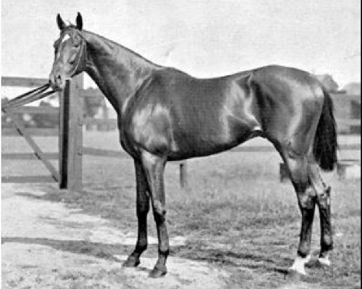 stallion Isinglass xx (Thoroughbred, 1890, from Isonomy xx)