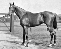 stallion Isinglass xx (Thoroughbred, 1890, from Isonomy xx)