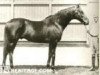 Pferd Louviers xx (Englisches Vollblut, 1906, von Isinglass xx)