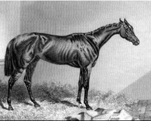 broodmare Mendicant xx (Thoroughbred, 1843, from Touchstone xx)