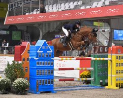 jumper L'Enfant de La Tempete (KWPN (Royal Dutch Sporthorse), 2016, from Hotspot)