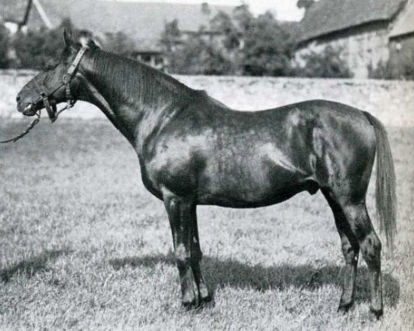 stallion Landgraf xx (Thoroughbred, 1914, from Louviers xx)