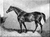 stallion Defence xx (Thoroughbred, 1824, from Whalebone xx)