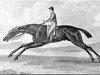 stallion King Fergus xx (Thoroughbred, 1775, from Eclipse xx)
