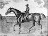 stallion Beningbrough xx (Thoroughbred, 1791, from King Fergus xx)